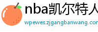 nba凯尔特人vs热火